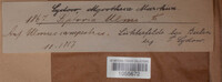 Image Associated With the Occurence